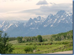 8789 Grand Teton National Park WY