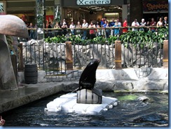 9785 Sea Lion Show West Edmonton Mall AB