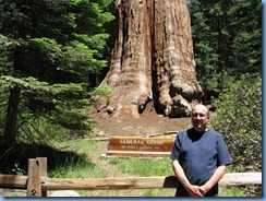 2330 General Grant Tree  General Grant Grove KCNP CA