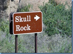 2923 Skull Rock Joshua Tree National Park CA