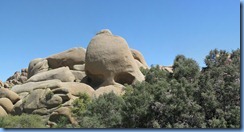 2927 Skull Rock Joshua Tree National Park CA Stitch