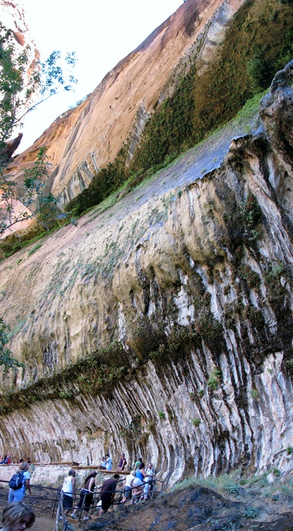 [3527 Weeping Rock Zion National Park UT Stitch[3].jpg]