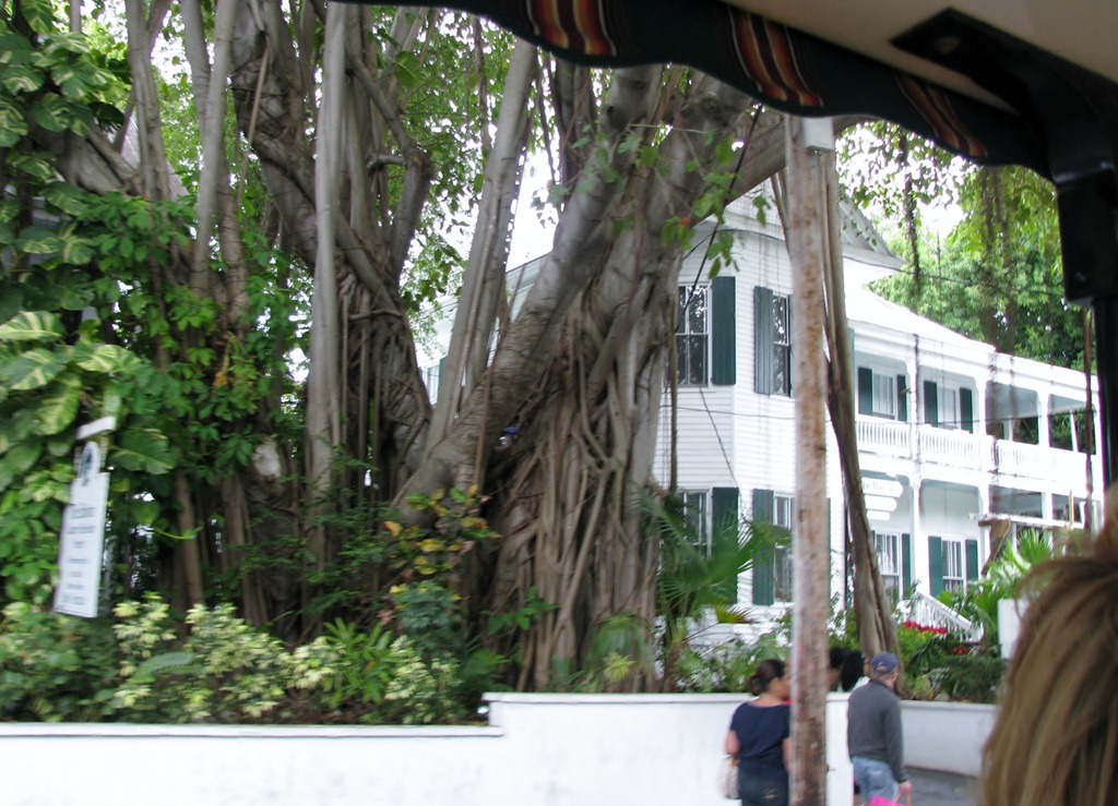 [7317 Key West FL - Conch Tour Train - Harry S. Truman Little White House[3].jpg]