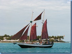 7294 Key West FL - Conch Tour Train 1st stop Mallory Square