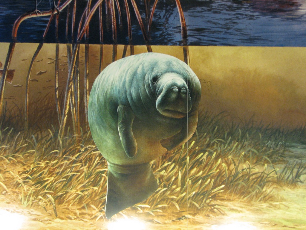 [7373 Everglades National Park FL- Ernest F. Coe Visitor Center[3].jpg]