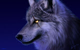 Scarwolf Wolf Wallpaper Wallpapers