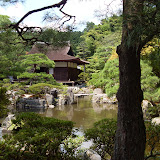 SDC11363.JPG