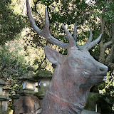 IMG_1766.JPG