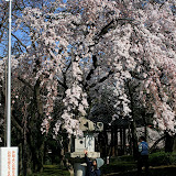 IMG_1925.JPG