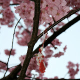 IMG_3767.jpg