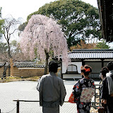 IMG_5777.JPG