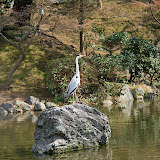 IMG_5801.JPG