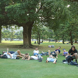 DSC00568.JPG