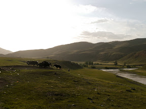 near family ger camp in naiman nuur nature reserve near family ger camp in naiman nuur nature reserve