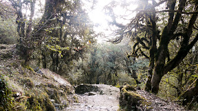 On the way to Birethanti (Annapurna Circuit, Nepal 2010)