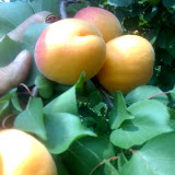 13-06-07_1120.jpg