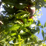 24-06-07_0917.jpg