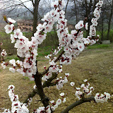 01-04-06_1019.jpg
