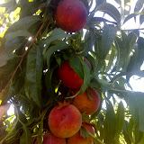 22-08-06_1024.jpg