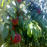 22-08-06_1025.jpg