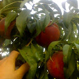 30-08-06_0720.jpg