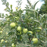 workalia e naturalia_25.jpg