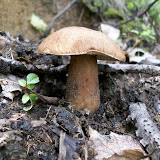 100_0262.jpg