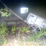 24-09-06_1057.jpg