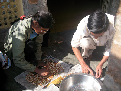 roasting peanuts in India
