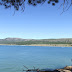 Vista desde los pinos sobre el pantano - ah: fíjense en esos raíces que parecen estrecharse al pantano, abajo...
