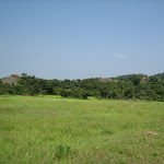 IMG_0042.JPG