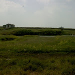 DSC00033.JPG