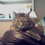 KB, irritated that I woke him