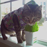Does this hoodie make me look gay?