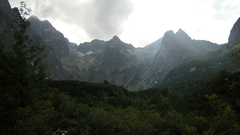 http://lh3.ggpht.com/_z3LwyfAOS40/SoccUU6W6DI/AAAAAAAAHFc/KwPhMG9Z4jQ/s800/DSCN1240.JPG