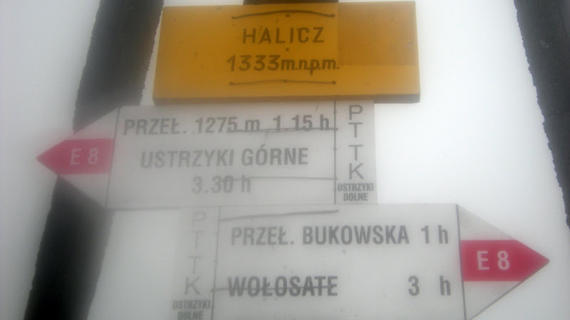 http://lh3.ggpht.com/_z3LwyfAOS40/SraEI7d9bmI/AAAAAAAAIrI/9_GxtQ2sd3Y/s800/DSCN1681.JPG