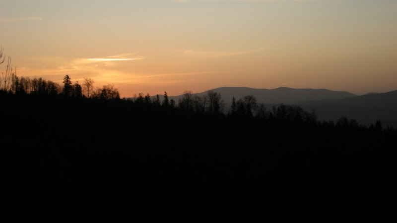 http://lh3.ggpht.com/_z3LwyfAOS40/SwrAVq3CIkI/AAAAAAAALU4/IsVXlaxkxfg/s800/DSCN2444.JPG