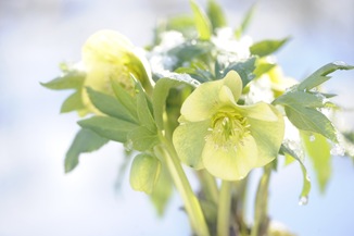 20100302_130017