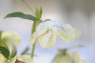 20100302_130608