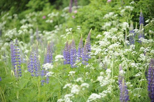 _20100606_101525