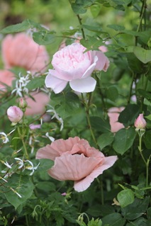 Claus_20100614_165251