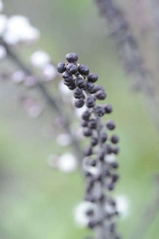 20100913_150149