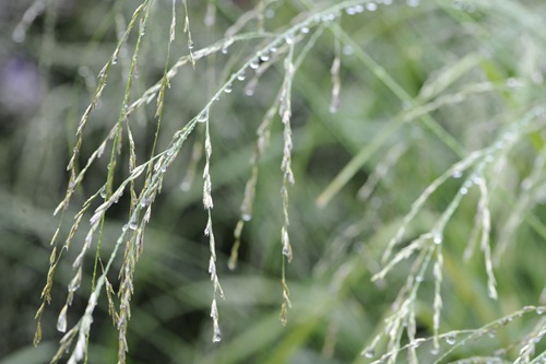 20100910_093908