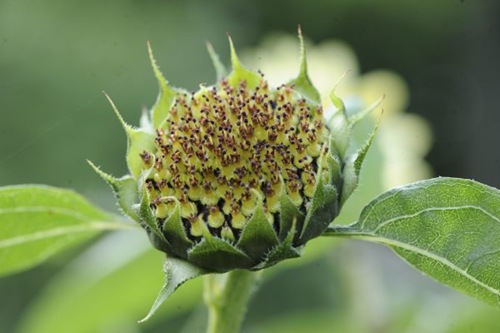 claus20090828_071858