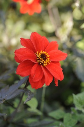 [claus20090920_1312253.jpg]