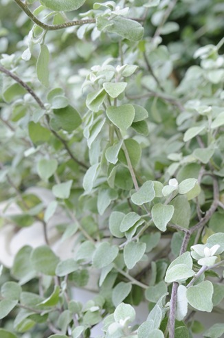 20100929_104441