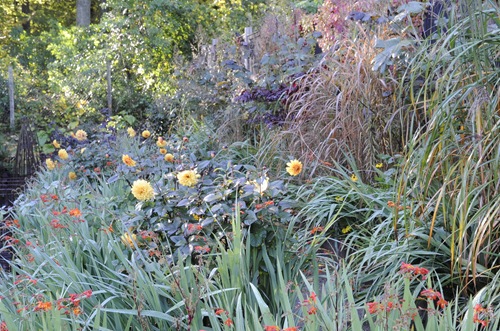 20101019_093806