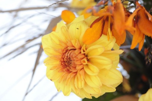 claus20101010_112621