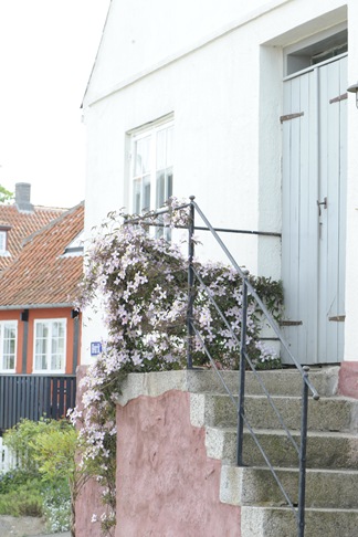 Endnu en forhave claus dalby mit haveliv