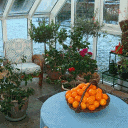 clip_image002 clip_image002